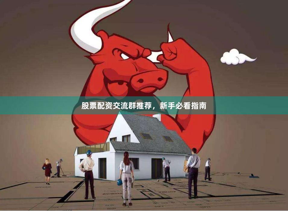 股票配资交流群推荐，新手必看指南